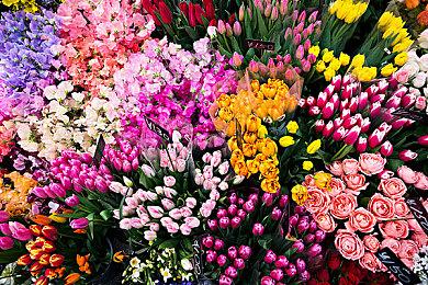 玩家自制作品《索尼克Overture》发布试玩版本