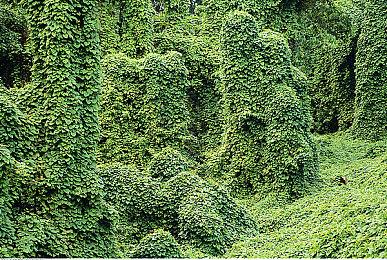 “杰森”将在《德州电锯杀人狂》游戏中扮演皮脸